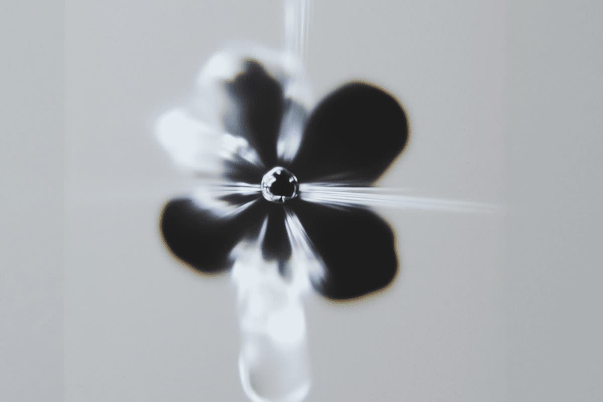 Glass drop forming a black-and-white flower