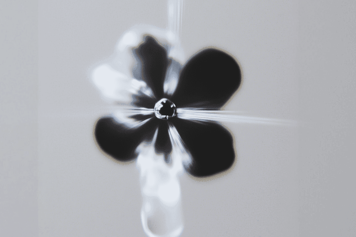 Glass drop forming a black-and-white flower